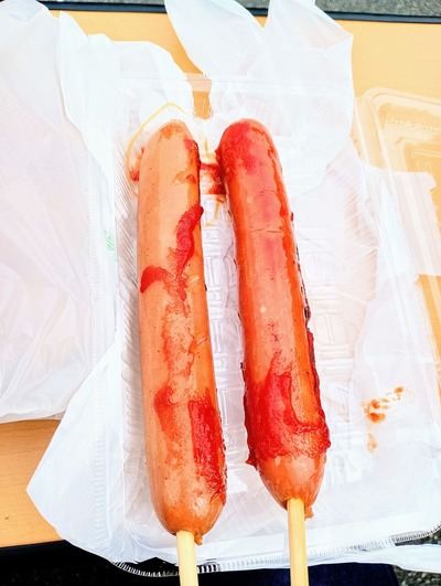 IMG_20250216_125853928_MFNR~2_copy_2304x3060