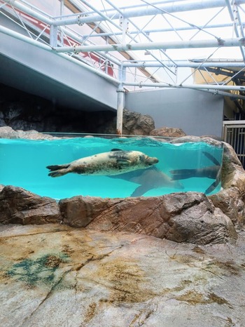 PHOTO_20220328_111837~2_copy_1728x2304