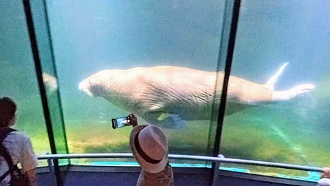 VID_20240820_115804_exported_13140~2_copy_1440x810