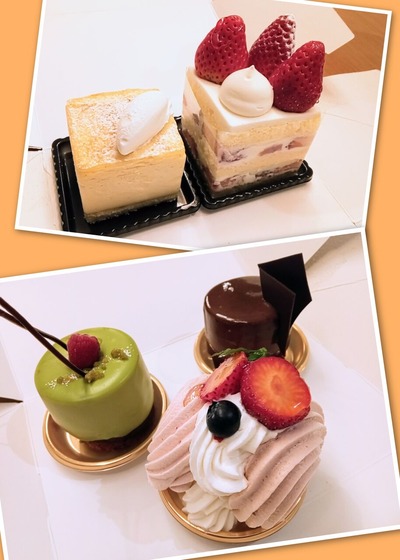 IMG_20230206_1833_06