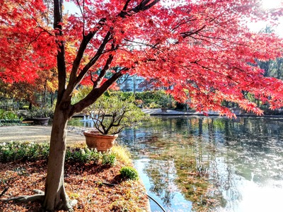 IMG_20191216_142012~2