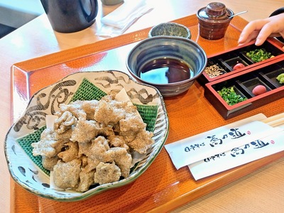 PHOTO_20240122_115826~2_copy_2304x1728