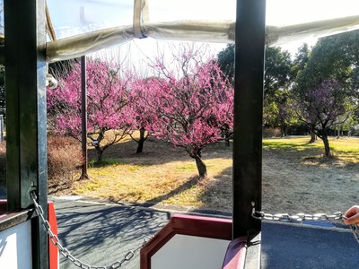 IMG_20200204_142042~2