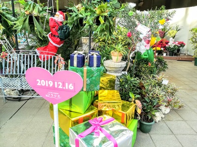 IMG_20191216_143636~2