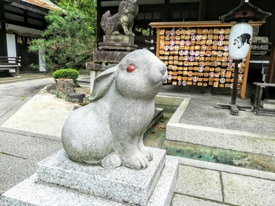 IMG_20190514_100407~2