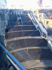 IMG_20231226_114632_229~2_copy_2592x3456