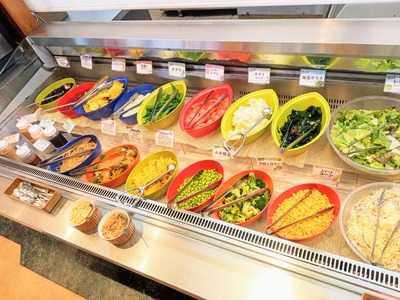 IMG_20221108_110601_123~2_copy_2304x1728