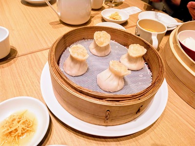 PHOTO_20241015_111948~2_copy_3456x2592