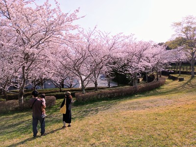 IMG_20210329_152509_414~2