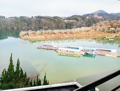 IMG_20241224_095113528_MFNR~2_copy_3060x2304