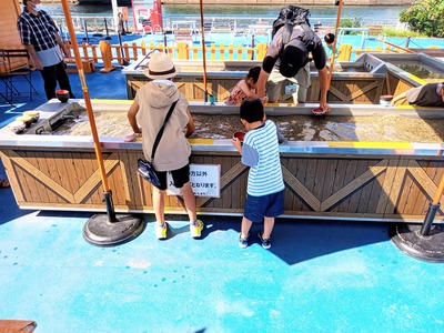 PHOTO_20240820_142315~2_copy_3144x2358