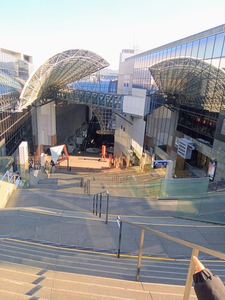 IMG_20231226_115309_375~2_copy_2592x3456