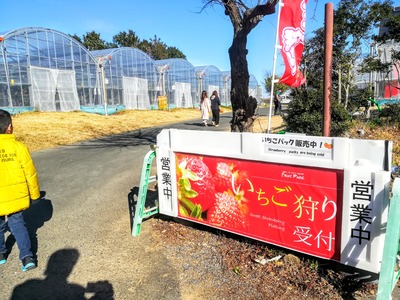 IMG_20200204_142804~2