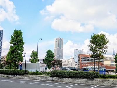 PHOTO_20240819_102928~2_copy_3016x2263