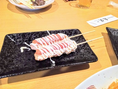 PHOTO_20240401_180454~2_copy_2304x1728