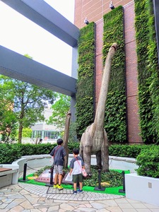 PHOTO_20240819_125518~2_copy_3112x4150