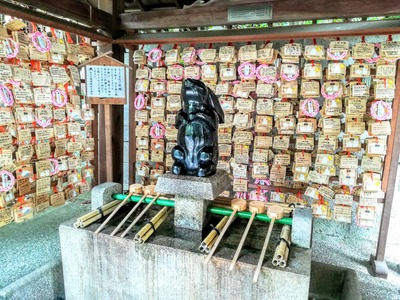 IMG_20190514_100854~2