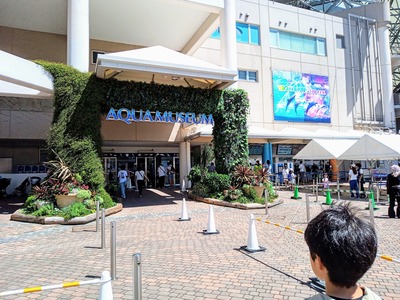 PHOTO_20240820_130328~2_copy_3144x2358