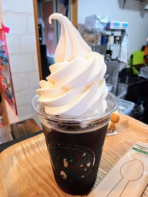 PHOTO_20240730_143503~2_copy_3112x4150