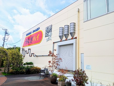 PHOTO_20240822_123930~2_copy_3144x2358