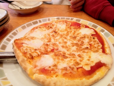 IMG_20230220_112158_518~2_copy_2304x1728