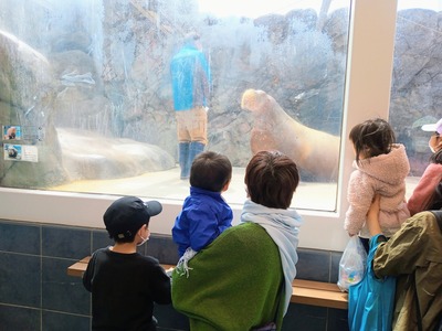 PHOTO_20220328_111211~2_copy_2304x1728