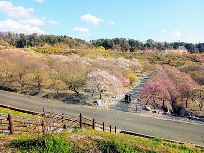 IMG_20210322_153508_668~2