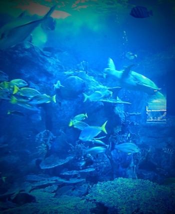 IMG_20220328_101242_122~2_copy_1415x1727