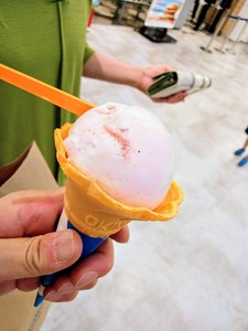 PHOTO_20240820_194723~2_copy_2358x3144