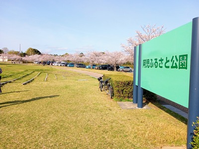 IMG_20210329_153606_892~2