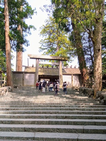 IMG_20210330_112741_411~2