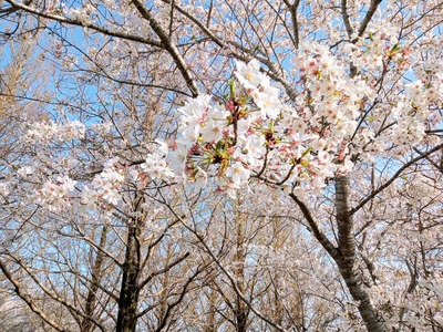 IMG_20210329_153037_361~2