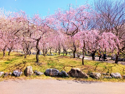 IMG_20230320_122349_233~2_copy_2304x1728