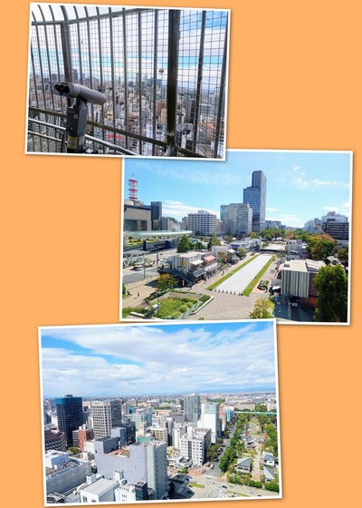 IMG_20231209_2109_36