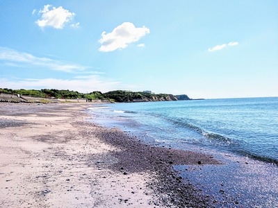 PHOTO_20240730_093559~2_copy_4150x3112