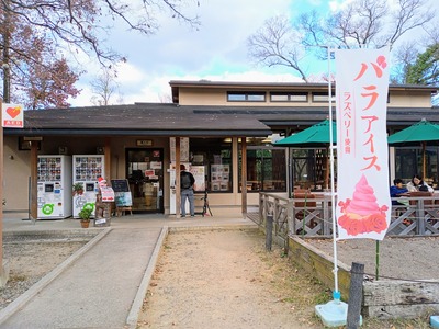 IMG_20231225_134457_392~2_copy_3456x2592