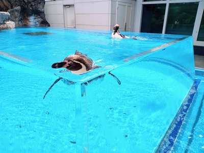 PHOTO_20220328_111047~2_copy_2304x1728