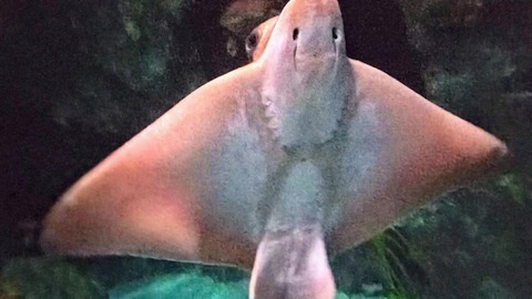 VID_20240820_121112_exported_8988~2_copy_1440x810