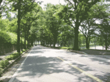 387bbf1b.gif