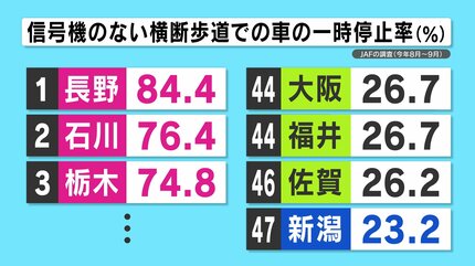 【違法】小6調査！横断歩道の車の停止率に隠された意外な真実とは？