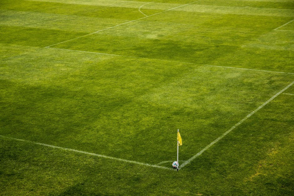 【サッカー】サンフレッチェ広島レジーナの自由すぎる女王の大祭典：観客動員1万人への挑戦