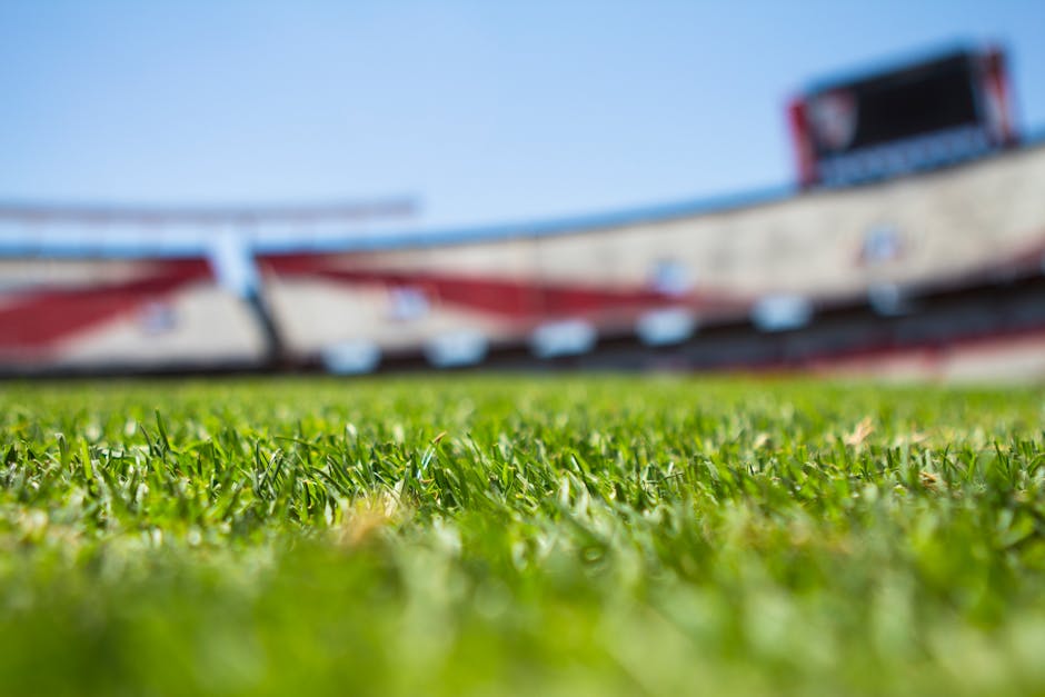 【サッカー】前田大然の快進撃！セルティックでの活躍と得点王争い