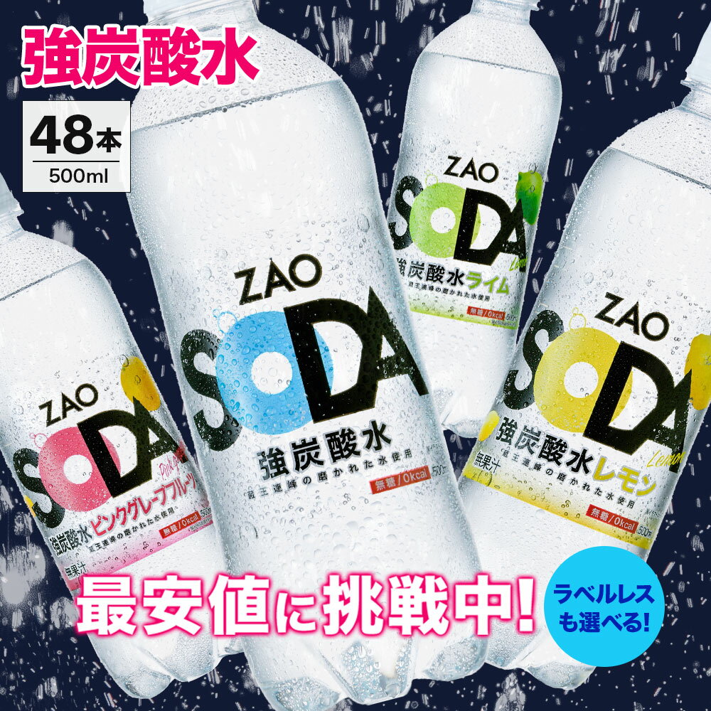 【最安値に挑戦中！48本セット】炭酸水の魅力とは？