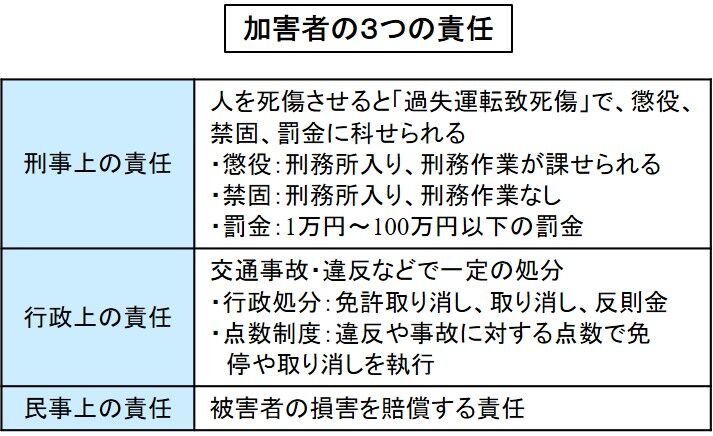 【重大事故】犬のリード絡まり、自転車男性に2500万円の和解金が支払われる！