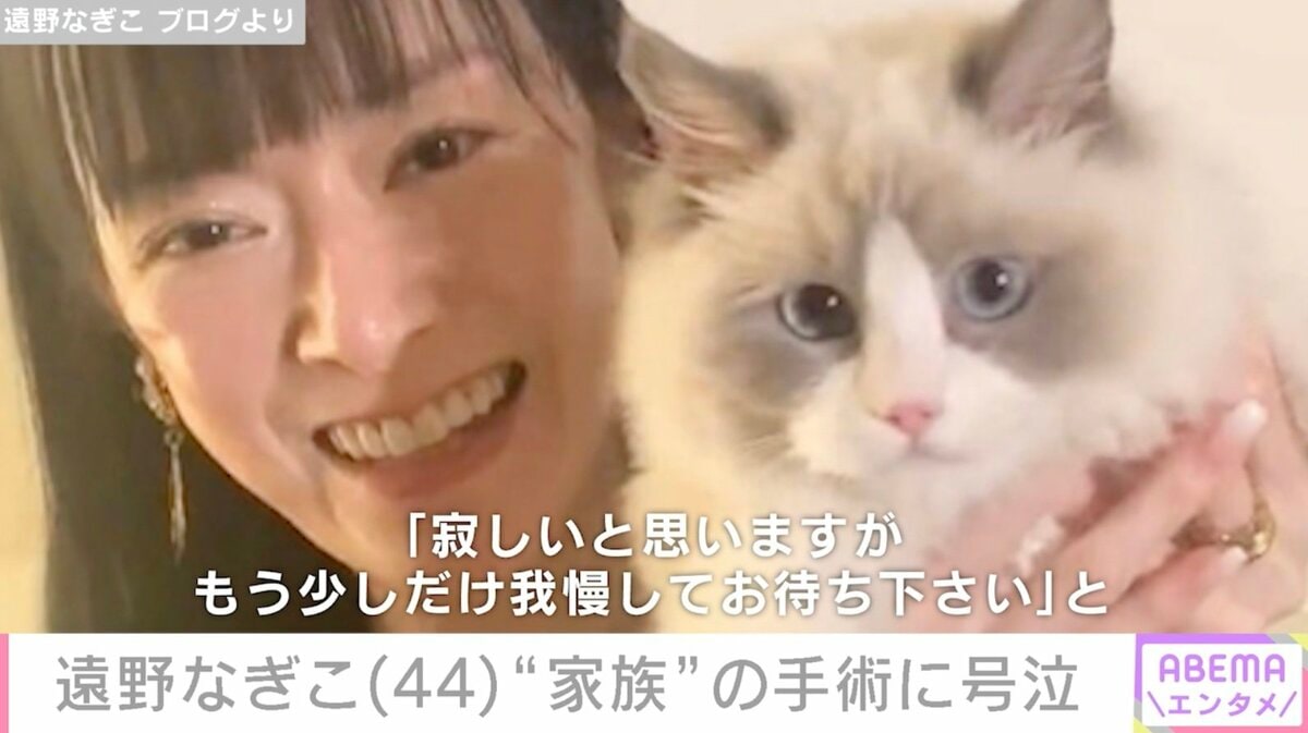 遠野なぎこ、愛猫愁くんが行方不明！心配する声続出