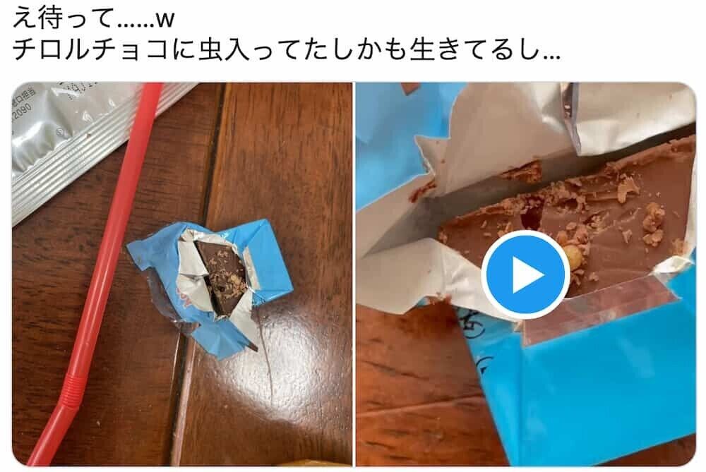 【拡散】チロルチョコ虫混入騒動：購入時期と保管状況の誤解を解く