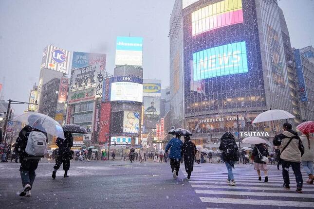 【悲報】関東甲信地域での「警報級」大雪によりSNSが大混乱！