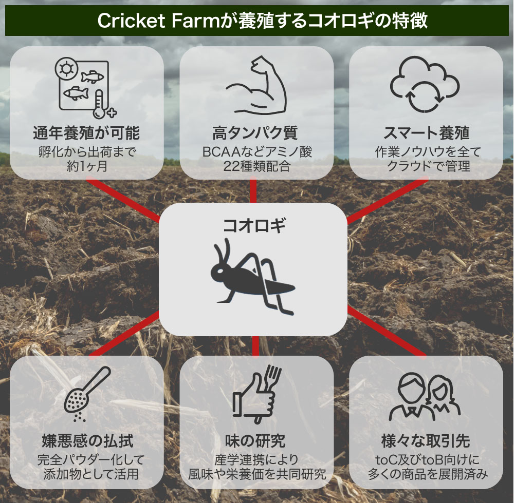 【悲報】クラファン大爆死─なぜコオロギ養殖ベンチャーは支援を得ることができなかったのか