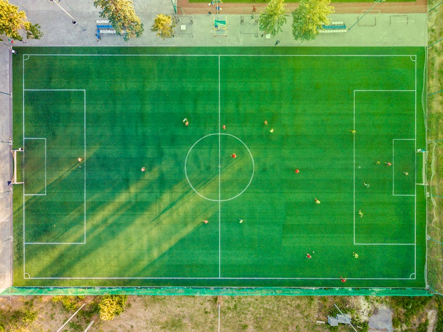 【Jリーグ】激戦の結末！アルビレックス新潟 vs セレッソ大阪の試合を振り返る