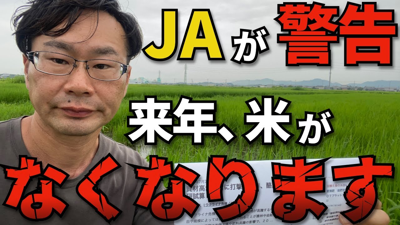 コメ農家の危機：過去最多の倒産と休廃業の真実